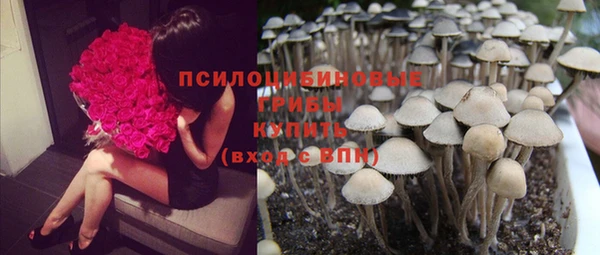 бутират Новозыбков