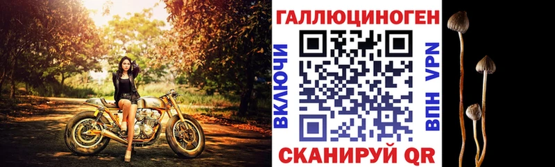 Галлюциногенные грибы MAGIC MUSHROOMS  мега ссылка  Порхов  сколько стоит 